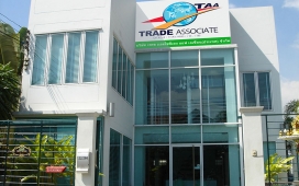 trade-associate